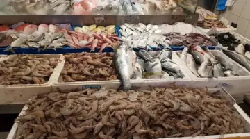 أسعار الأسماك والمأكولات البحرية اليوم في سوق العبور.. 83 جنيهاً للكيلو من البلطي